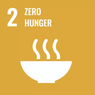 sdg1